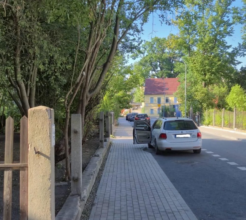 Chodnik po przycięciu krzewów